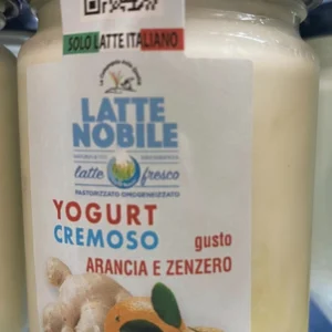 yogurt da latte nobile arancia e zenzero scheda prodotto