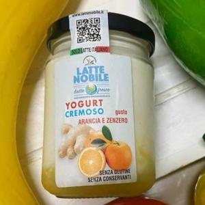 yogurt nobile arancia e zenzero