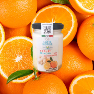yogurt nobile arancia e zenzero la compagnia della qualità